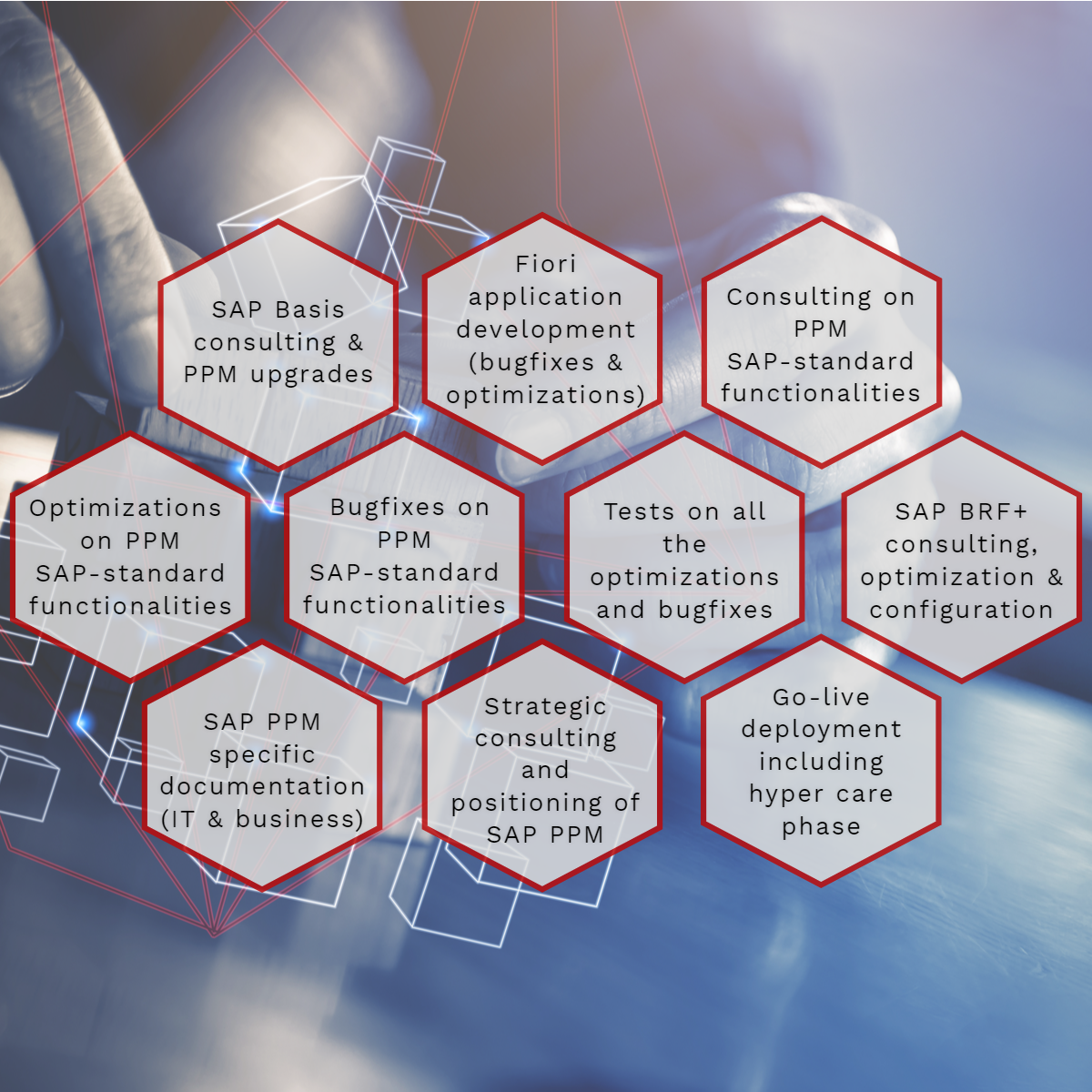 PPM Managed Application Light